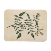  flora Jasmine Magnet Magneet (Horizontaal)