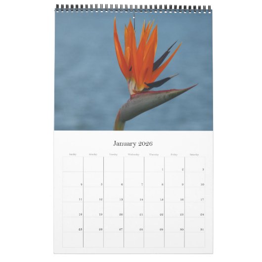 flora kalender (Jan 2026)