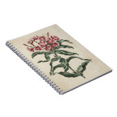 flora Lychnidea illustratie Notitieboek (Rechterzijde)
