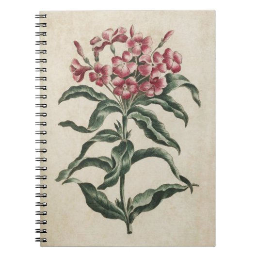 flora Lychnidea illustratie Notitieboek (Voorkant)