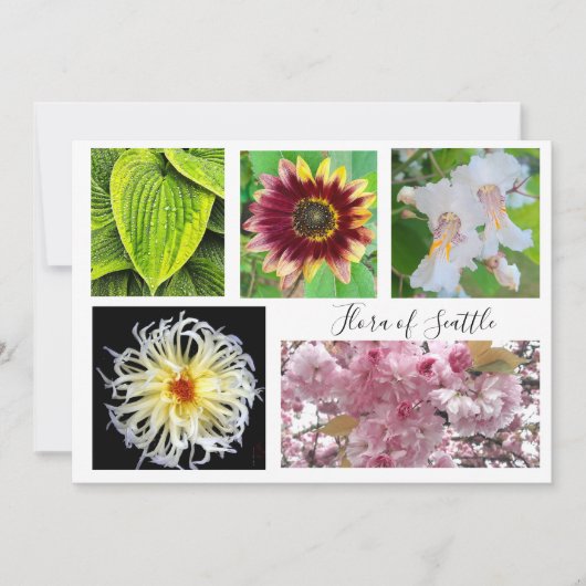 flora of Seattle Kaart (Voorkant)