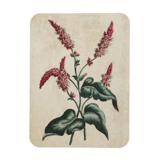 flora Persicaria Magnet Magneet (Verticaal)