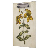  flora sint-janskruid klembord (Links)