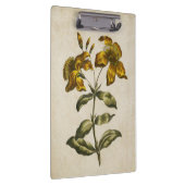  flora sint-janskruid klembord (Rechts)