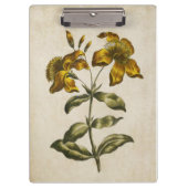 flora sint-janskruid klembord (Voorkant)