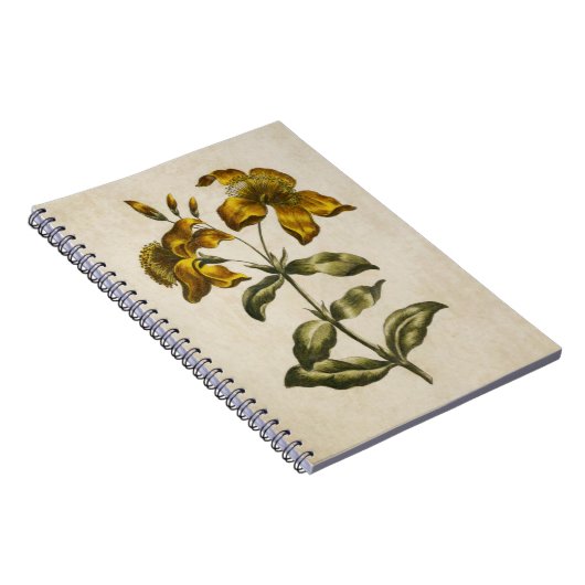  flora sint-janskruid notitieboek (Rechterzijde)