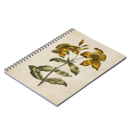  flora sint-janskruid notitieboek (Linkerzijde)