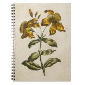  flora sint-janskruid notitieboek (Voorkant)