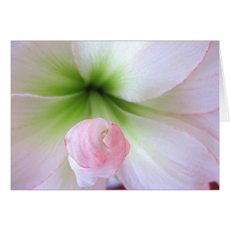 "Flora Tenera"-kaart