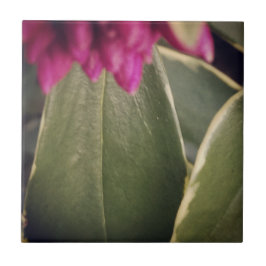 Flora Tile- Daphne Tegeltje