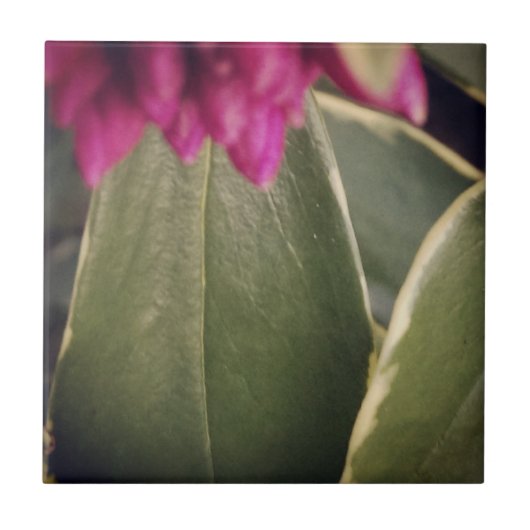 Flora Tile- Daphne Tegeltje (Voorkant)