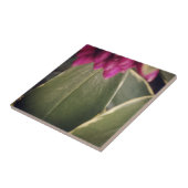 Flora Tile- Daphne Tegeltje (Zijkant)