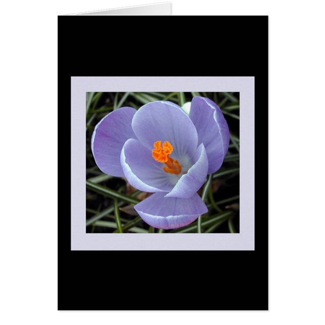 flora voor lente #2 (Voorkant)