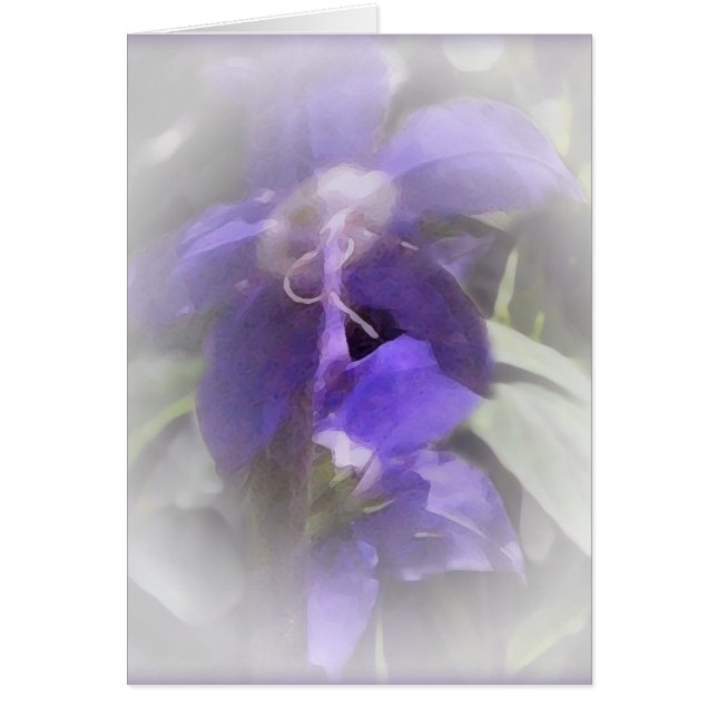 Floral  - 2 (Voorkant)