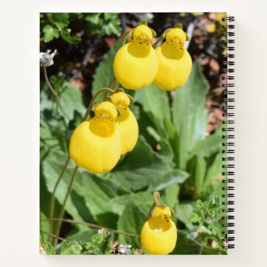 Floral Aanmoediging Notitieboek voor Tech Femme (Achterkant)