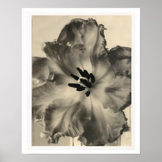 Floral afdrukken in zwart-wit poster (Voorkant)