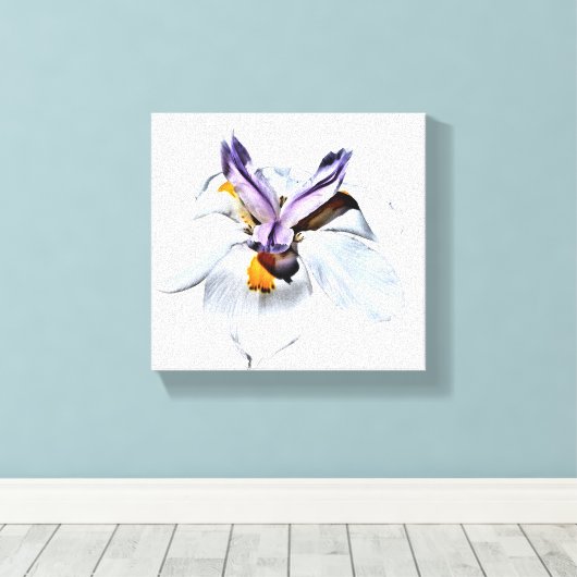 Floral African Iris Canvas Afdruk (Insitu (Houten vloer))