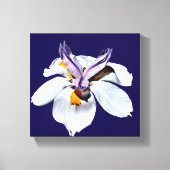 Floral African Iris Canvas Afdruk (Voorkant)