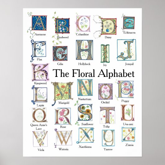 Floral Alphabet Poster (Voorkant)