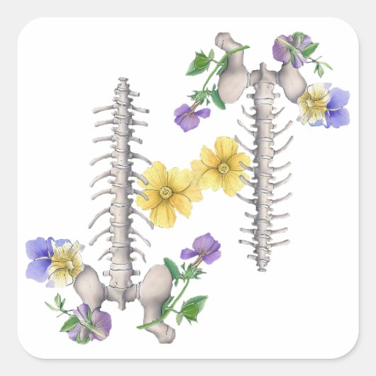 Floral Anatomy - Vertebrae, Hip Bone Vierkante Sticker (Voorkant)