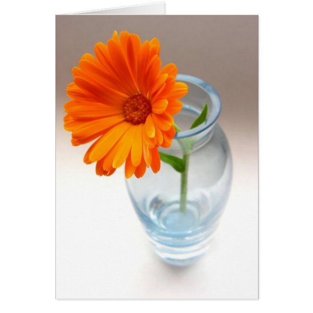 Floral Arrangement (Voorkant)