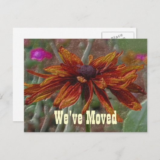 Floral Art Daisy Moving New Address Briefkaart (Voorkant / Achterkant)