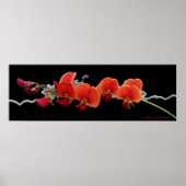 Floral Art Poster (Voorkant)