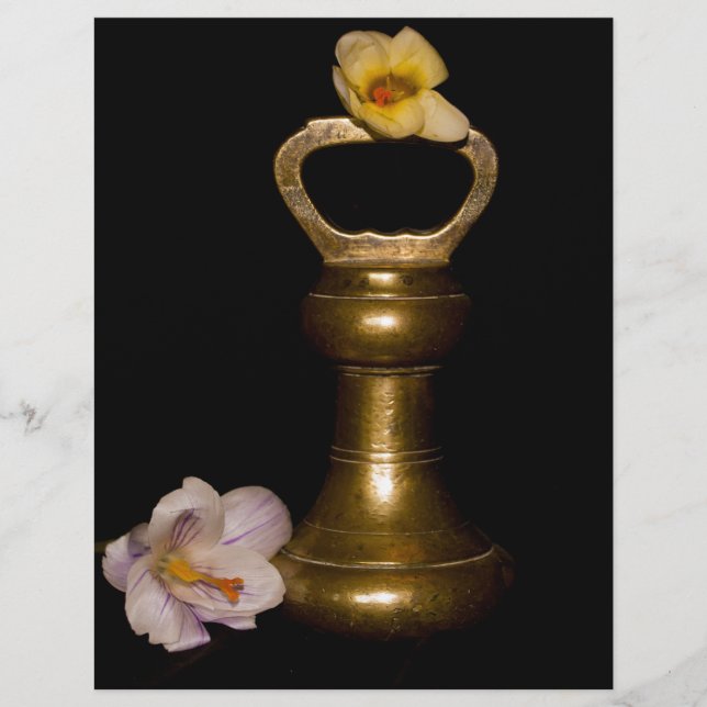 Floral Attraction (Voorkant)