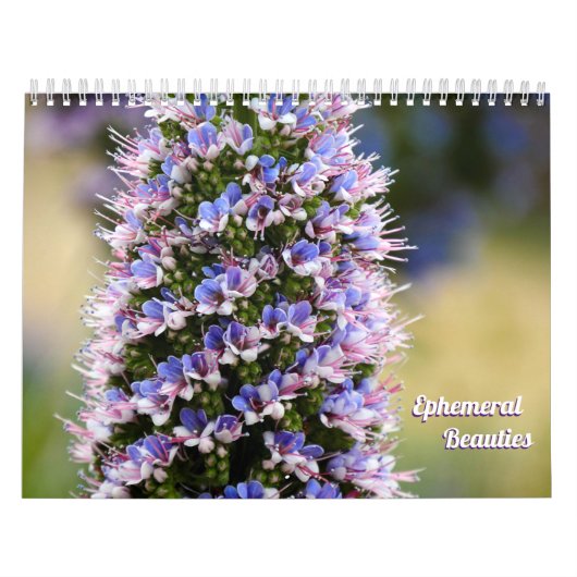 Floral Beauties van mijn Garden Collectie Kalender (Hoes)