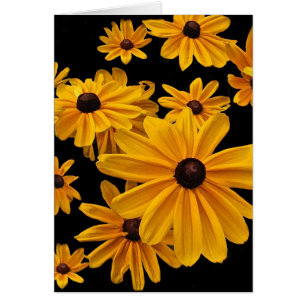 Floral Black Eyed Susan Flowers Blank Card