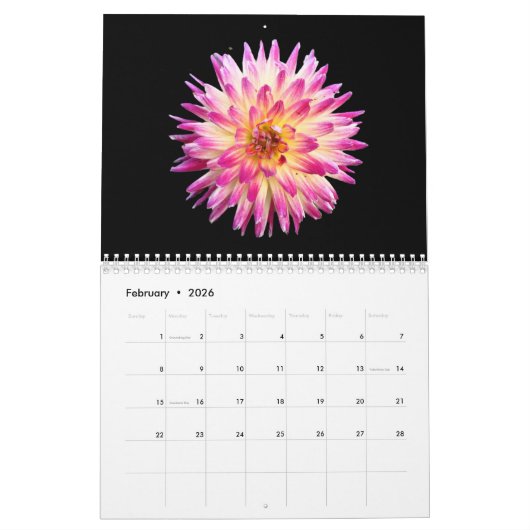 Floral Blackback Kalender 2025 (Feb 2026)