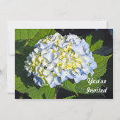 Floral Blue en Yellow Hydrangea Foto van Birthday Kaart (Voorkant)