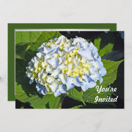 Floral Blue en Yellow Hydrangea Foto van Birthday Kaart