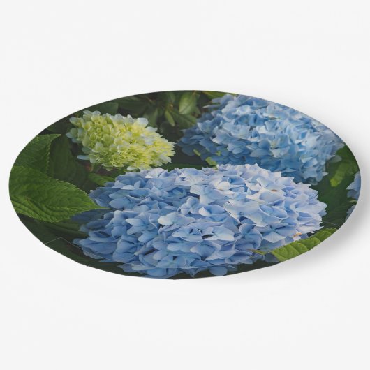 Floral Blue Hydrangea Foto Papieren Bordje (Gekanteld)