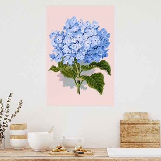  Floral Blue Hydrangea Poster (Keuken)