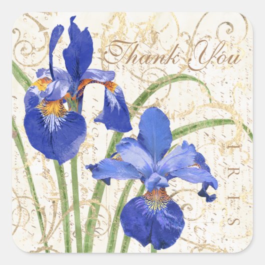 Floral Blue Iris Gold Damask Dank u Vierkante Sticker (Voorkant)