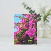 Floral Bougainvillea Cascade Briefkaart (Staand voorkant)