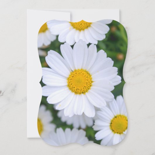 Floral Bridal Shower Invitations Daisy Bracket Kaart (Achterkant)