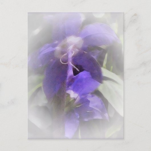 Floral  briefkaart (Voorkant)