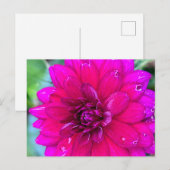 Floral Briefkaart (Voorkant / Achterkant)