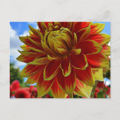 Floral Briefkaart (Voorkant)