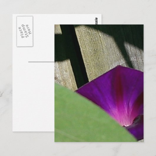 Floral Briefkaart (Voorkant / Achterkant)