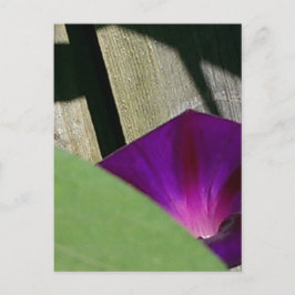 Floral Briefkaart