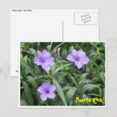 Floral Briefkaart (Voorkant / Achterkant)