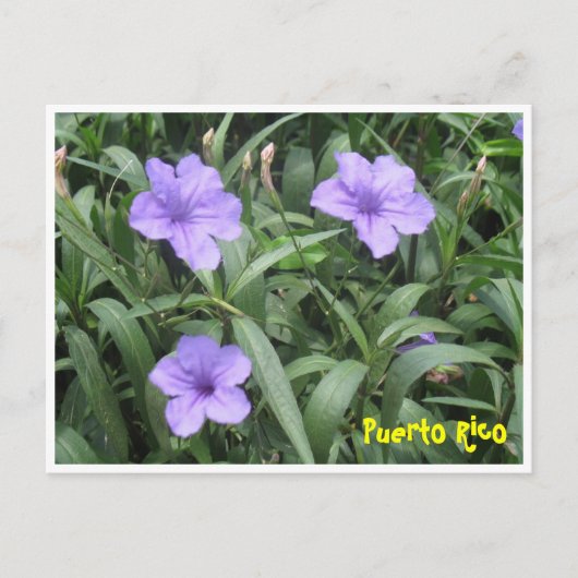 Floral Briefkaart (Voorkant)