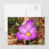 Floral Briefkaart (Voorkant / Achterkant)