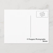 Floral Briefkaart (Achterkant)