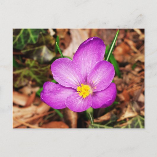Floral Briefkaart (Voorkant)