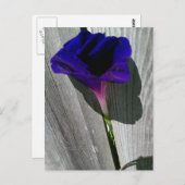 Floral Briefkaart (Voorkant / Achterkant)