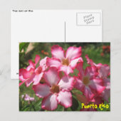 Floral Briefkaart 2 (Voorkant / Achterkant)